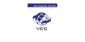 VES visa-express service