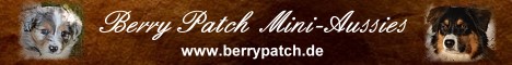 Berry Patch Mini Aussies