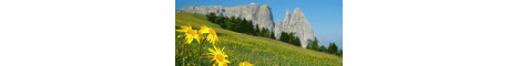 Südtirol Blog - my-suedtirol.eu