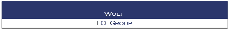 Wolf I.O. Group GmbH Unternehmensberatung