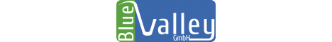 Unternehmensberatung Bluevalley GmbH