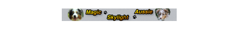 Magic Skylight Aussie