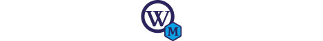 WP-Meister WordPress Agentur