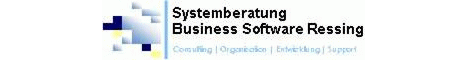 Die Systemberatung Business Software Ressing