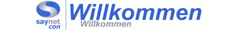 saynet con GmbH - IT-Consulting   IT-Lösungen   Netzwerke   Hardwa...