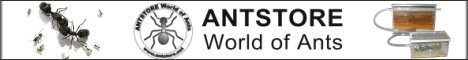 ANTSTORE World of Ants - Ihr Ameisenfachhandel