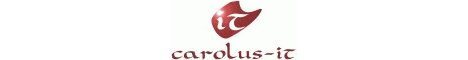 carolus-it EDV-Dienstleistungen und Software, Friedrich Meyer