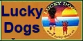 Hundeschule LUCKY DOGS 